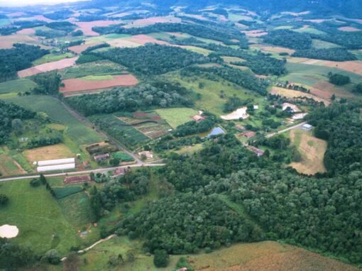 Planejando Propriedades e Paisagens