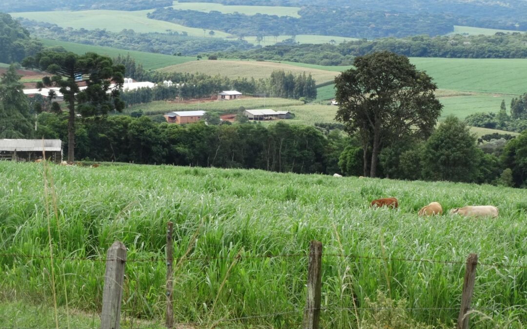 Apremavi Promove Curso de Planejamento de Propriedades e Paisagens
