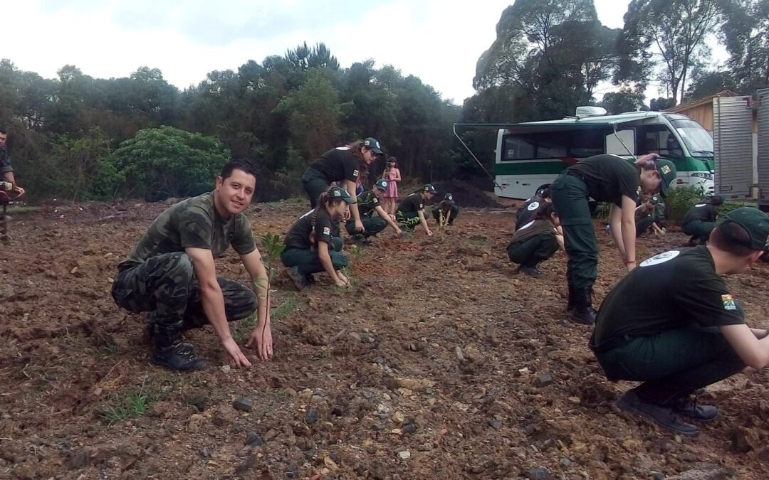 Bosques de Heidelberg chega ao Planalto Norte Catarinense